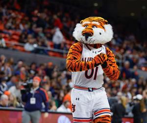 March Betting Previews 9 Creighton Bluejays vs 1 Auburn Tigers