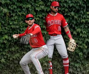 MLB Betting Consensus Seattle Mariners vs Los Angeles Angels