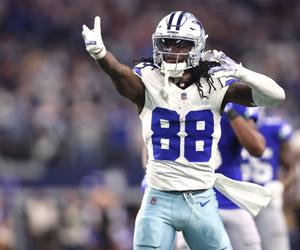 NFL Betting Consensus Dallas Cowboys vs Miami Dolphins